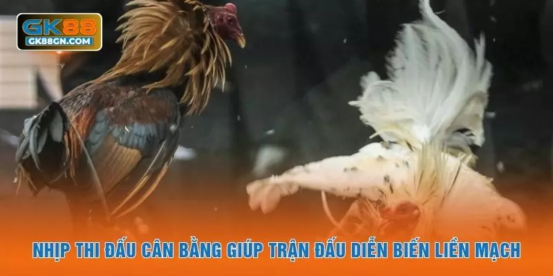 Nhịp thi đấu cân bằng giúp trận đấu diễn biến liền mạch
